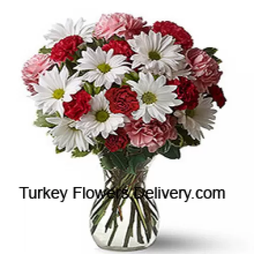 红色康乃馨，粉色康乃馨和白色非洲菊，搭配季节性的填充物，放在玻璃花瓶中--24支花和填充物