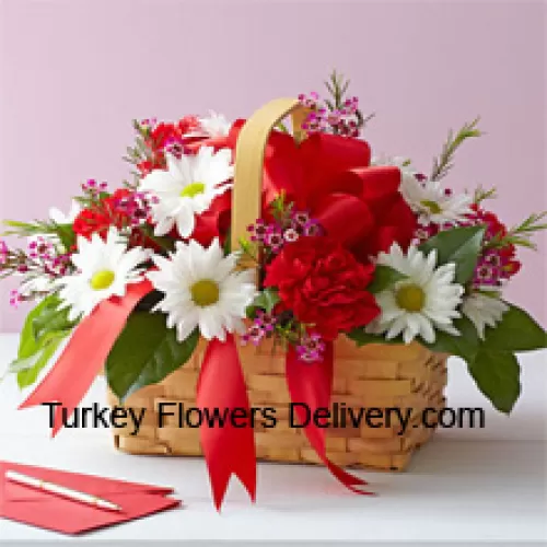 一份美丽的白色非洲菊和红色康乃馨配以季节性填充物的花束