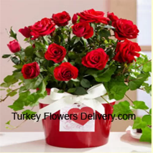 Piękny układ 18 czerwonych róż z dodatkami sezonowymi