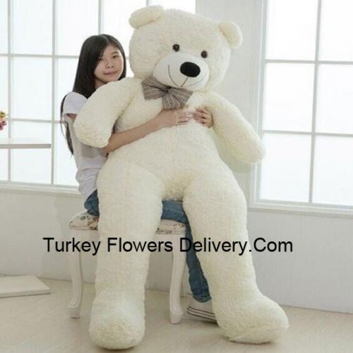 5 Feet Giant Teddy