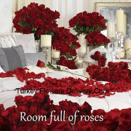 私たちのバラいっぱいの部屋には、たくさんの赤いバラのアレンジメントがあります- パッケージ内のバラの総数は500本です