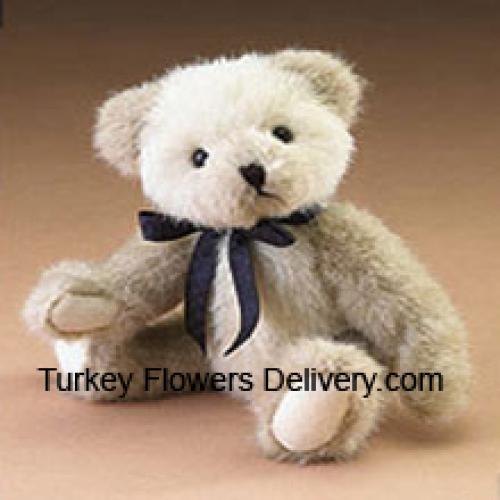 A Cute 12 Inch Teddy