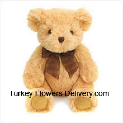 Cuddly 6 Inch Brown Teddy