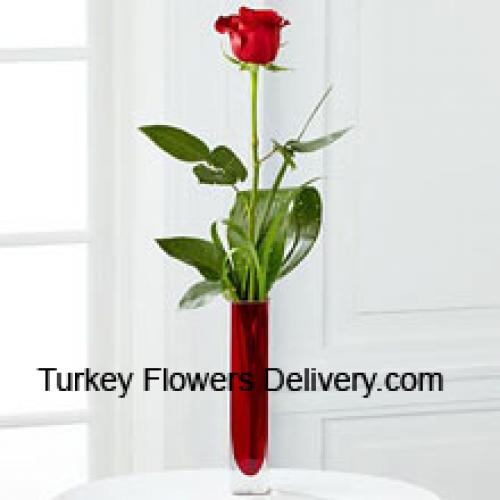 Cute Single Red Rose