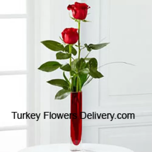 红色试管花瓶里的两朵红玫瑰（如有缺货，我们保留替换花瓶的权利。库存有限）